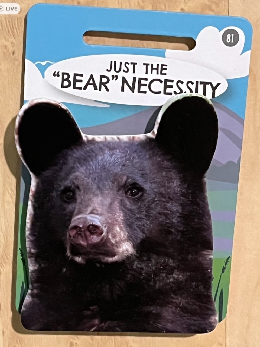 Pet & Critter BLACK BEAR Wooden Bag Clip,Fridge Magnet NWT